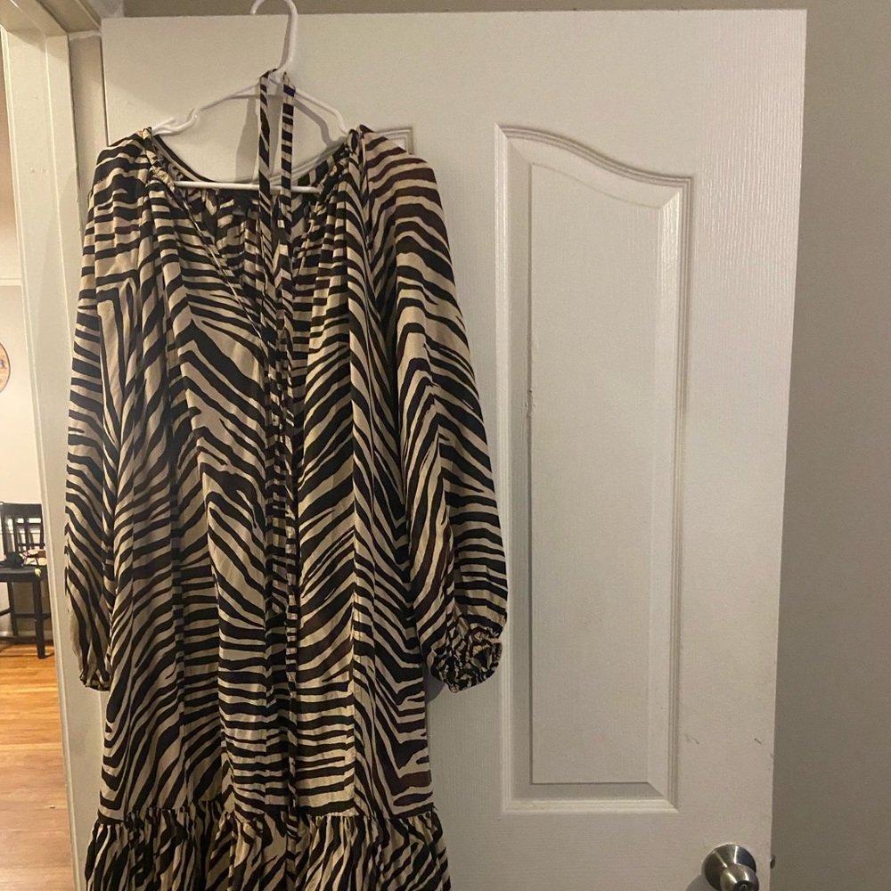 Banana Republic Zebra Print dress